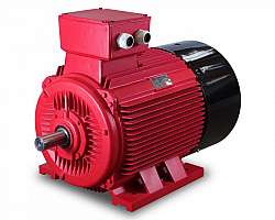 Manutenção de motores elétricos monofásicos Manutenção de motores elétricos monofásicos