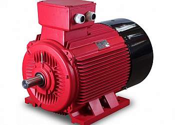 Manutenção de motores Manutenção de motores