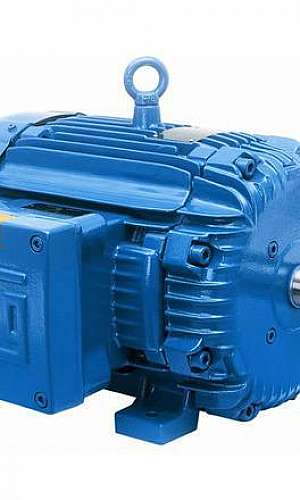 Manutenção de motores elétricos Manutenção de motores elétricos